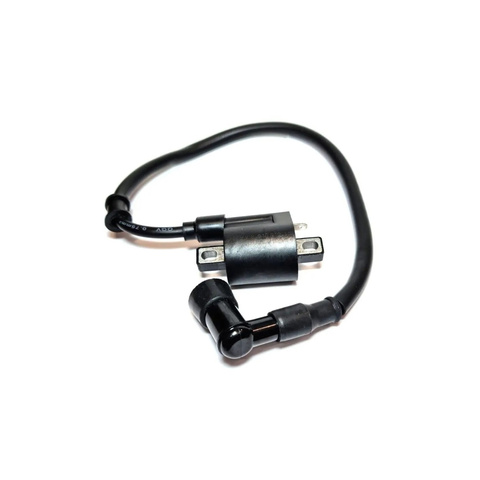 Катушка зажигания 172FMM, NB300