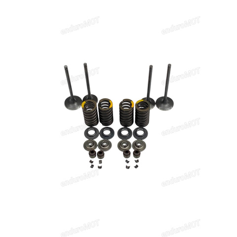 Комплект клапанов (в сборе) NB300 174MN-5