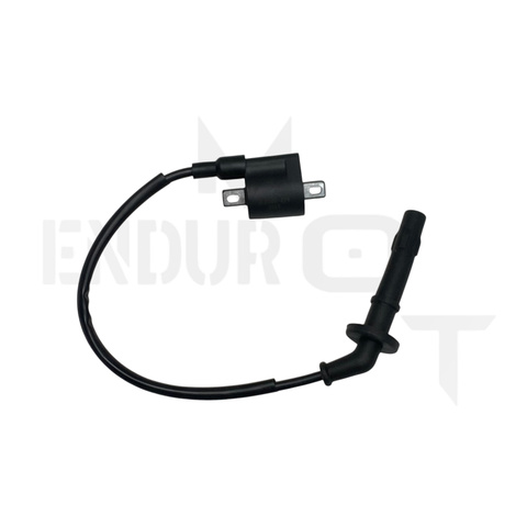 Катушка зажигания YBS300