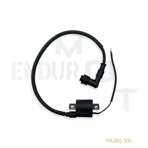 Катушка зажигания PR250,PR300